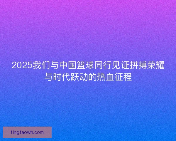 2025我们与中国篮球同行见证拼搏荣耀与时代跃动的热血征程