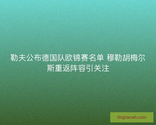 勒夫公布德国队欧锦赛名单 穆勒胡梅尔斯重返阵容引关注