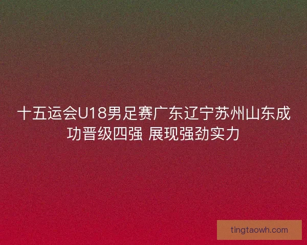 十五运会U18男足赛广东辽宁苏州山东成功晋级四强 展现强劲实力