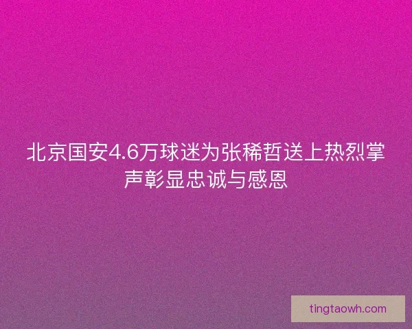 北京国安4.6万球迷为张稀哲送上热烈掌声彰显忠诚与感恩