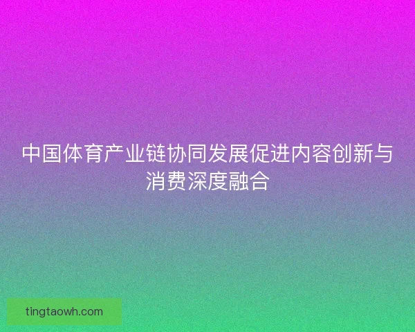 中国体育产业链协同发展促进内容创新与消费深度融合